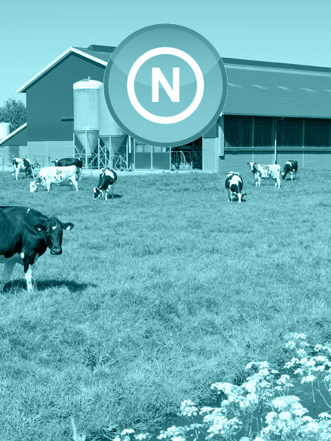 BelleAqua Agro - home - onze oplossingen